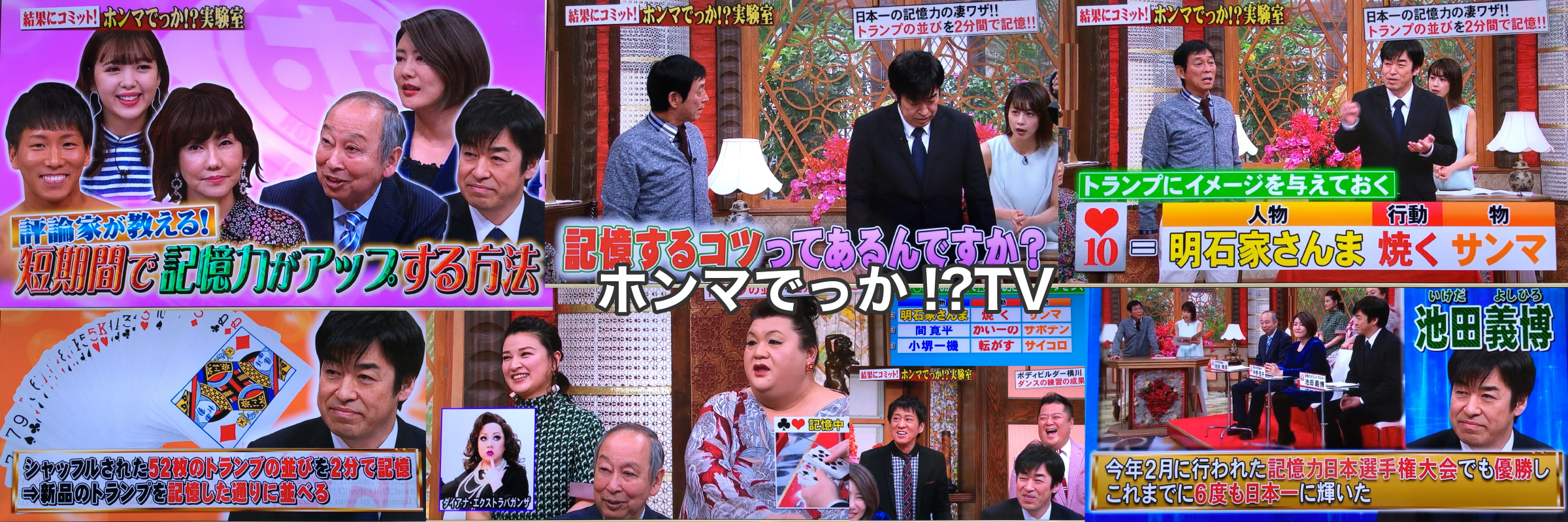 ホンマでっか!?TV